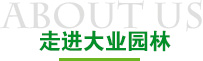 走进赢多多