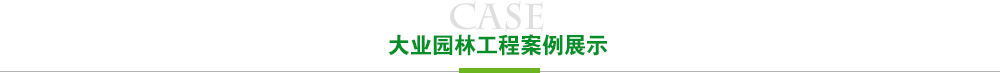 赢多多工程案例展示