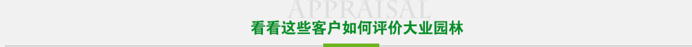 看看这些客户如何评价赢多多