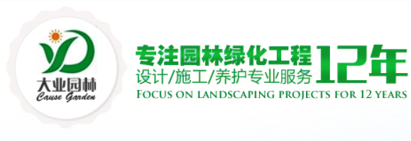 深圳赢多多
